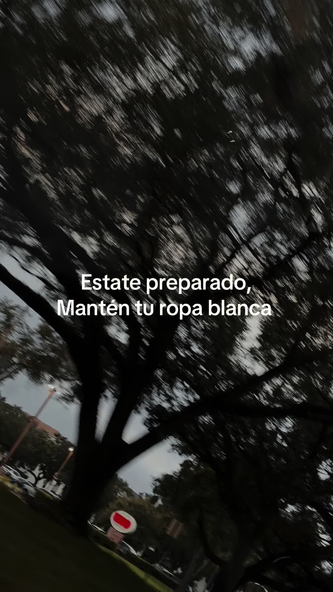 @Marisol
