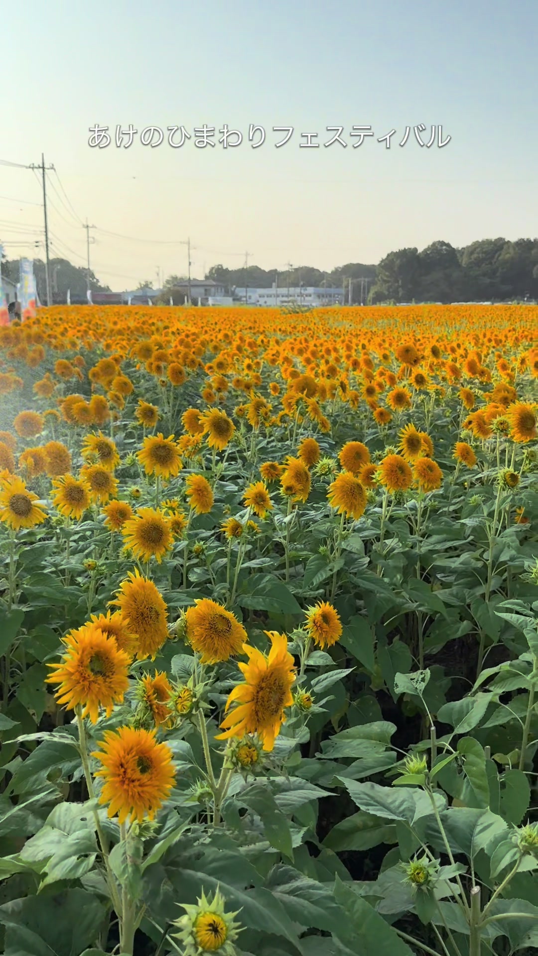 @y【宿.サウナ.花火】