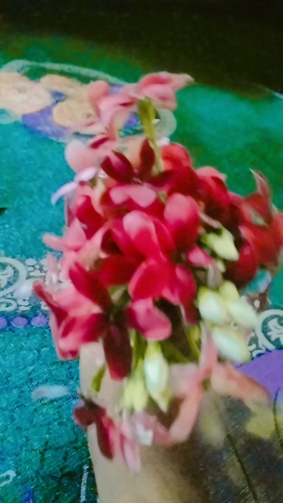 @🌺💞মায়াবতী🌺💞