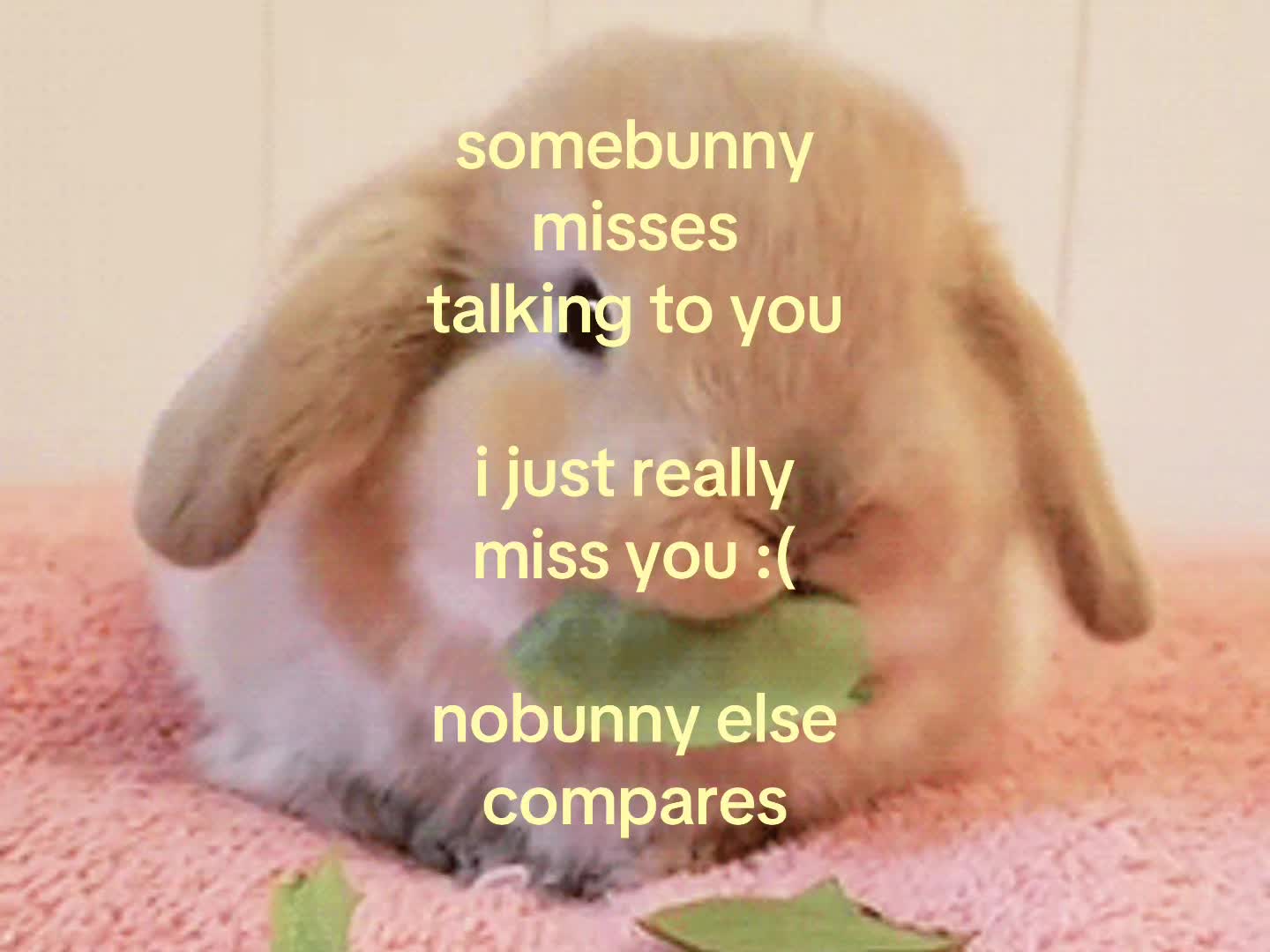@❀