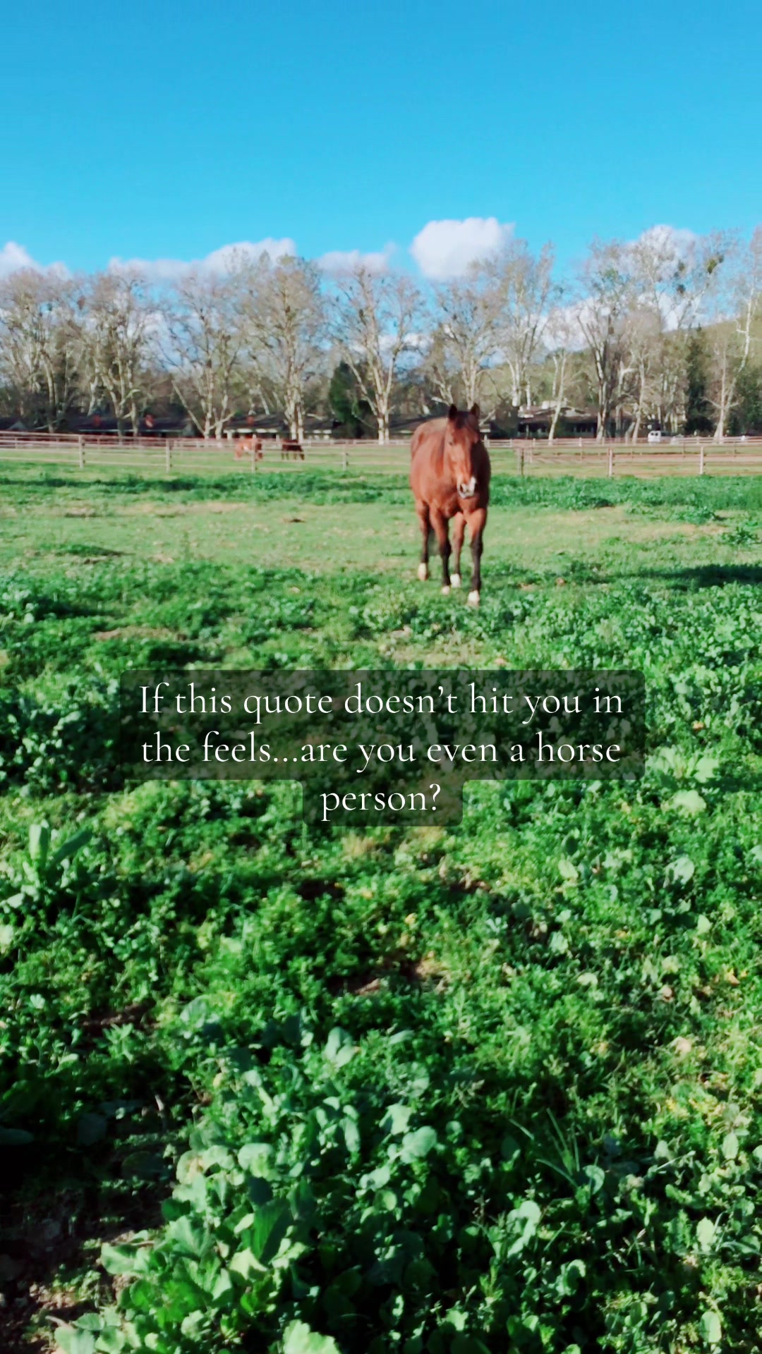 @Meghan Taylor