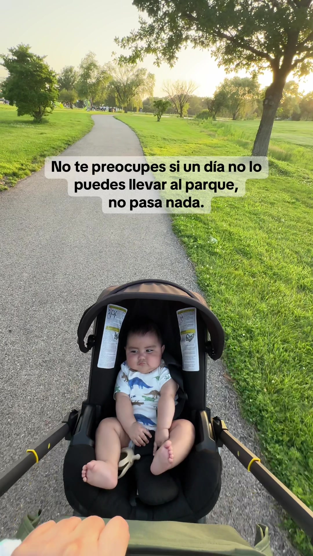 @Susana Arvayo