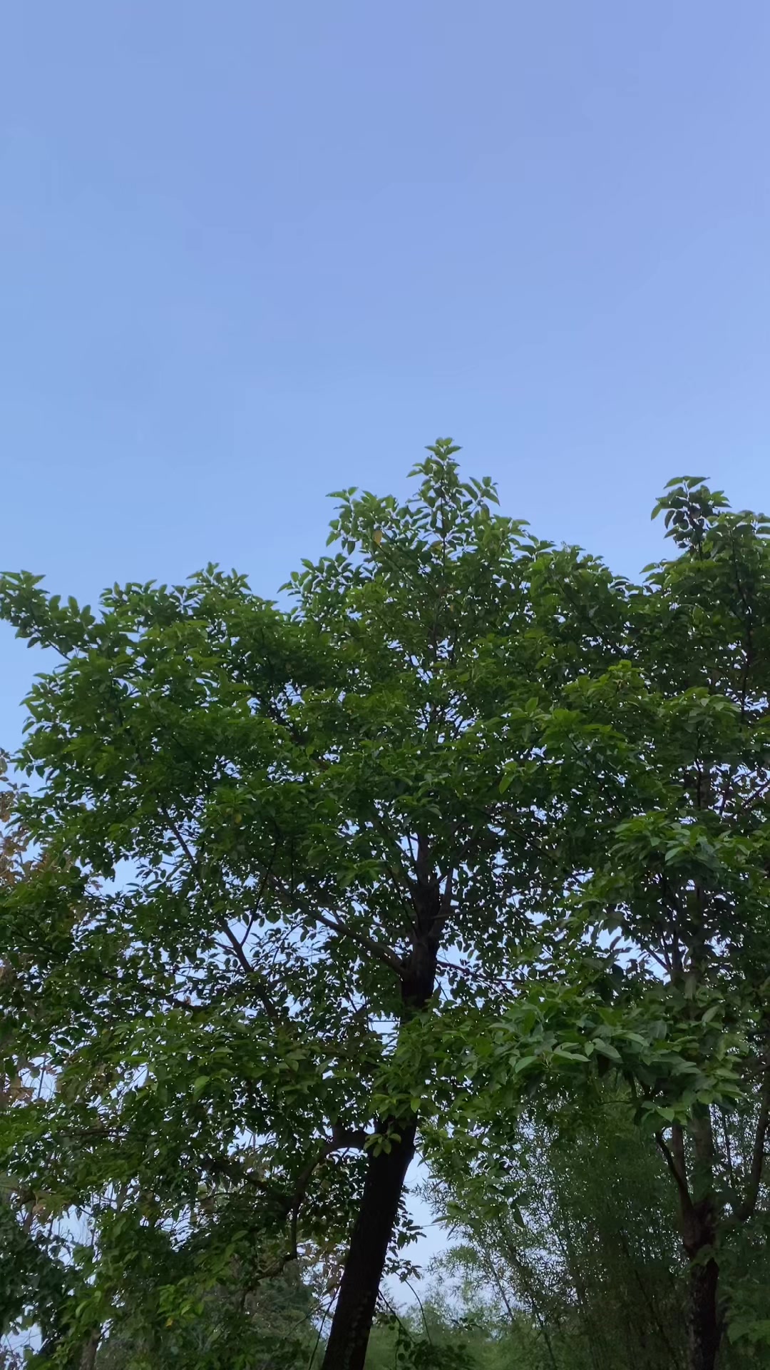 @ãA-sHi—Kã๐ฆ ๏ฃฟ