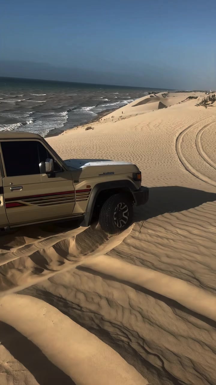 @𝑻𝑶𝒀𝑶𝑻𝑨 &brvbar; كـبـسـولة
