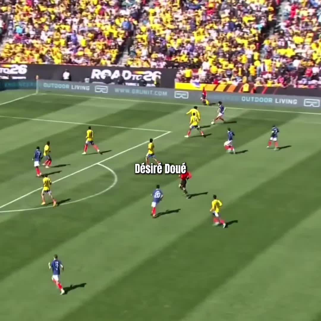 @SCARDINHO