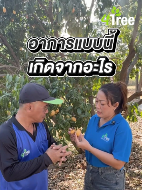 @4Tree A4S Thailand