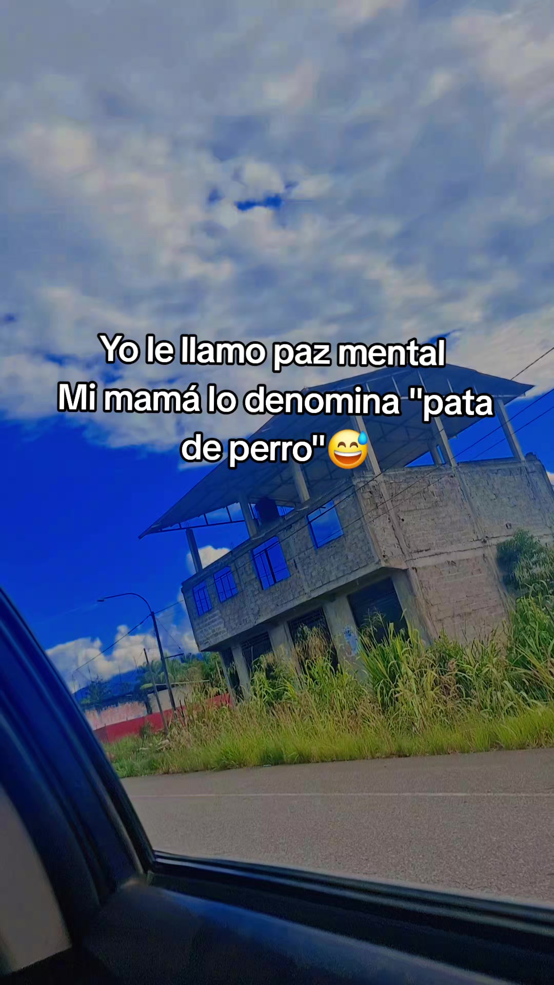 @❤️😊LizzieCat🇵🇪😉💖🍿