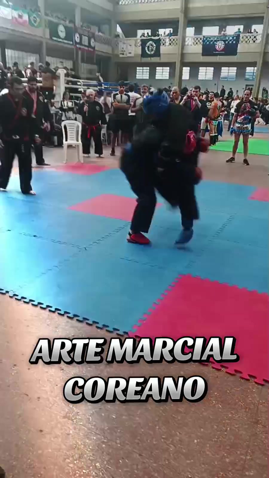 @Javi SIPALKI