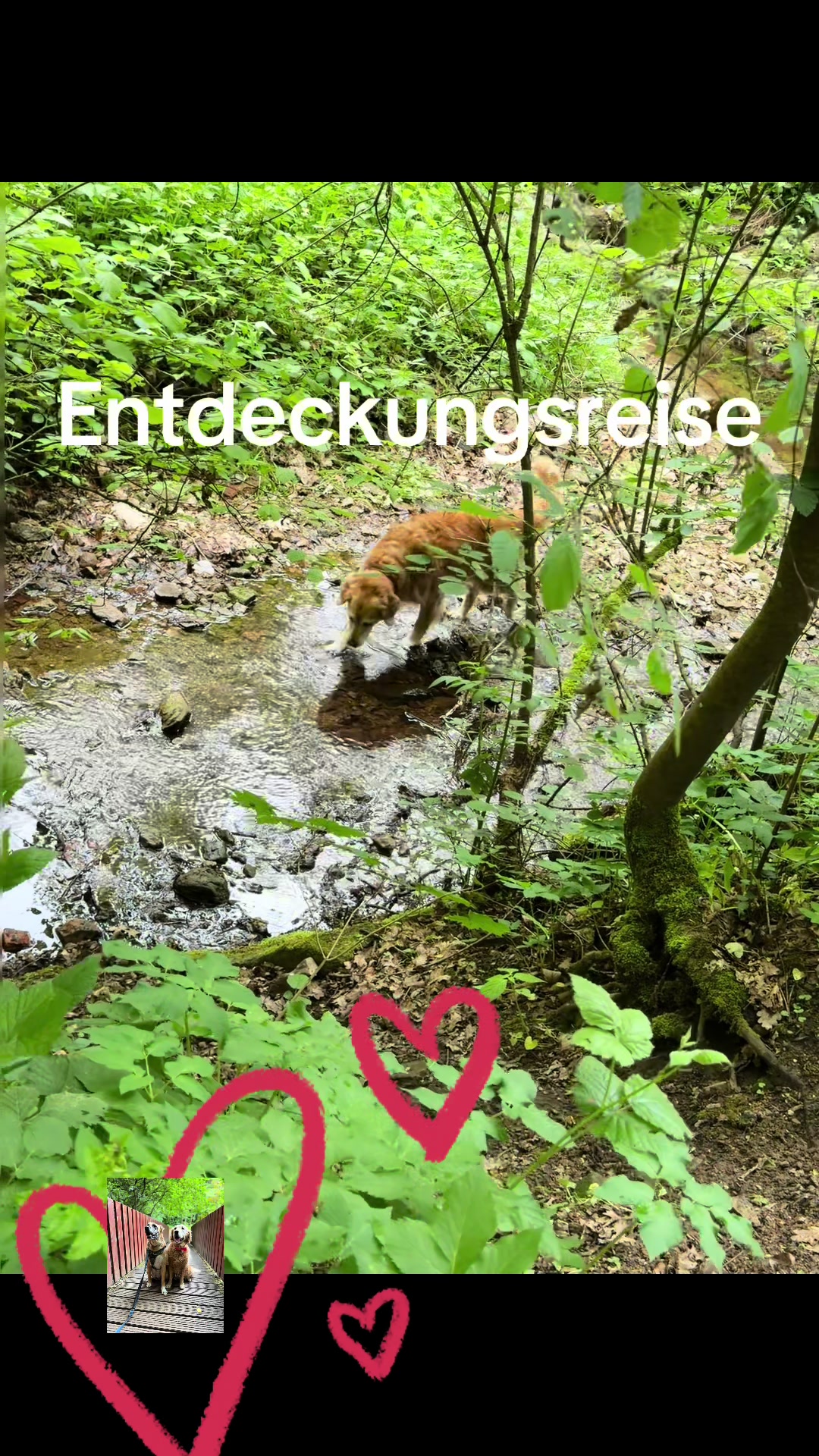 @Zehra Oplustil