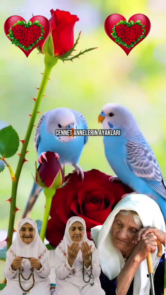 @🇹🇷҉͜͡✭Damla🦂Bozkurt🇦🇿҉͜͡✭