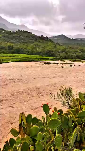 @ابو محمد السهيمي