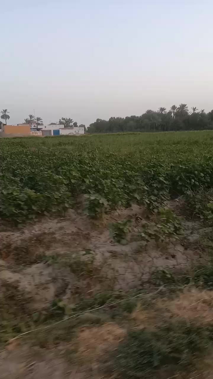 @KAMRAN RIND