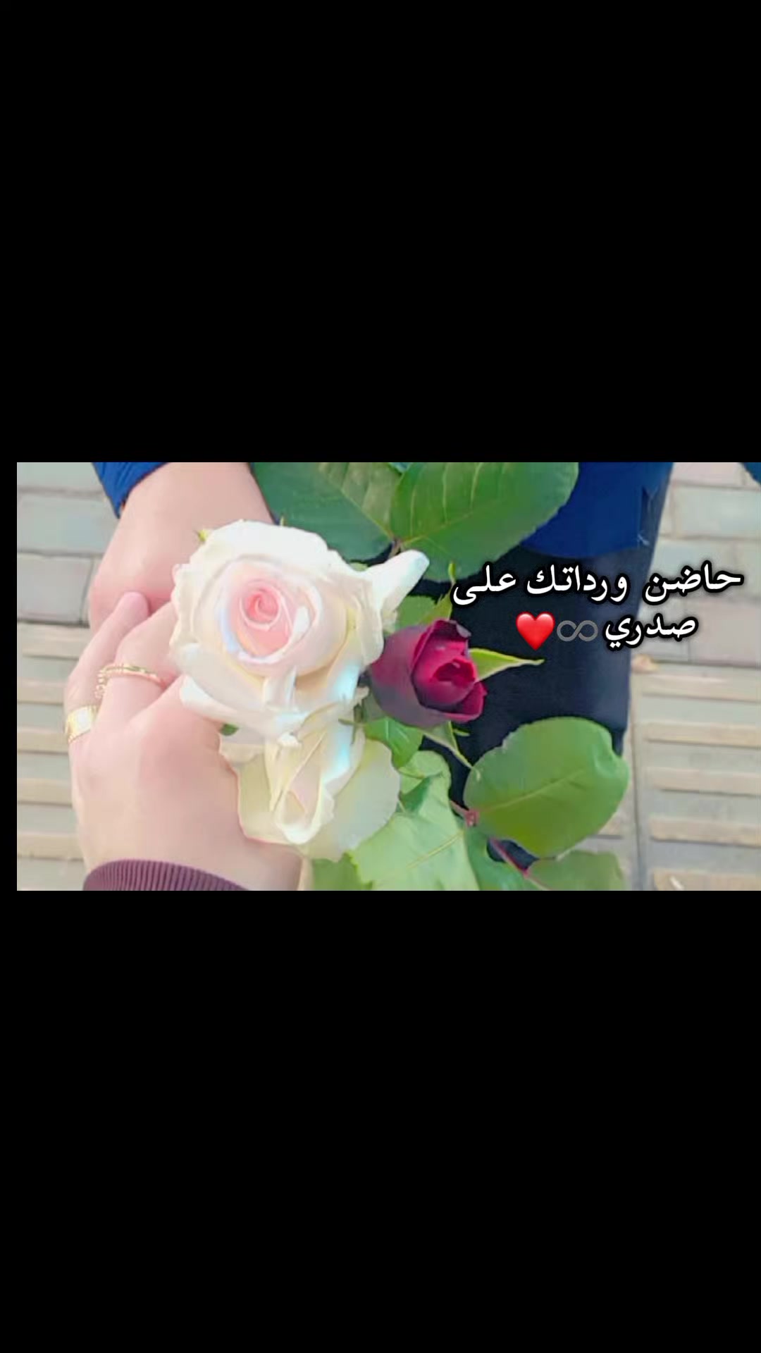 @مـدلࢦـهۃ قࢦـ𝙘ـبـو𐙚ꫂ💗🌚