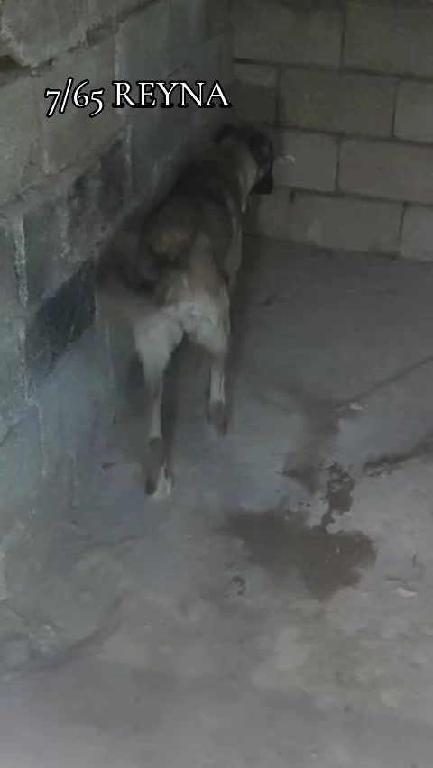 @Yusuf saldık