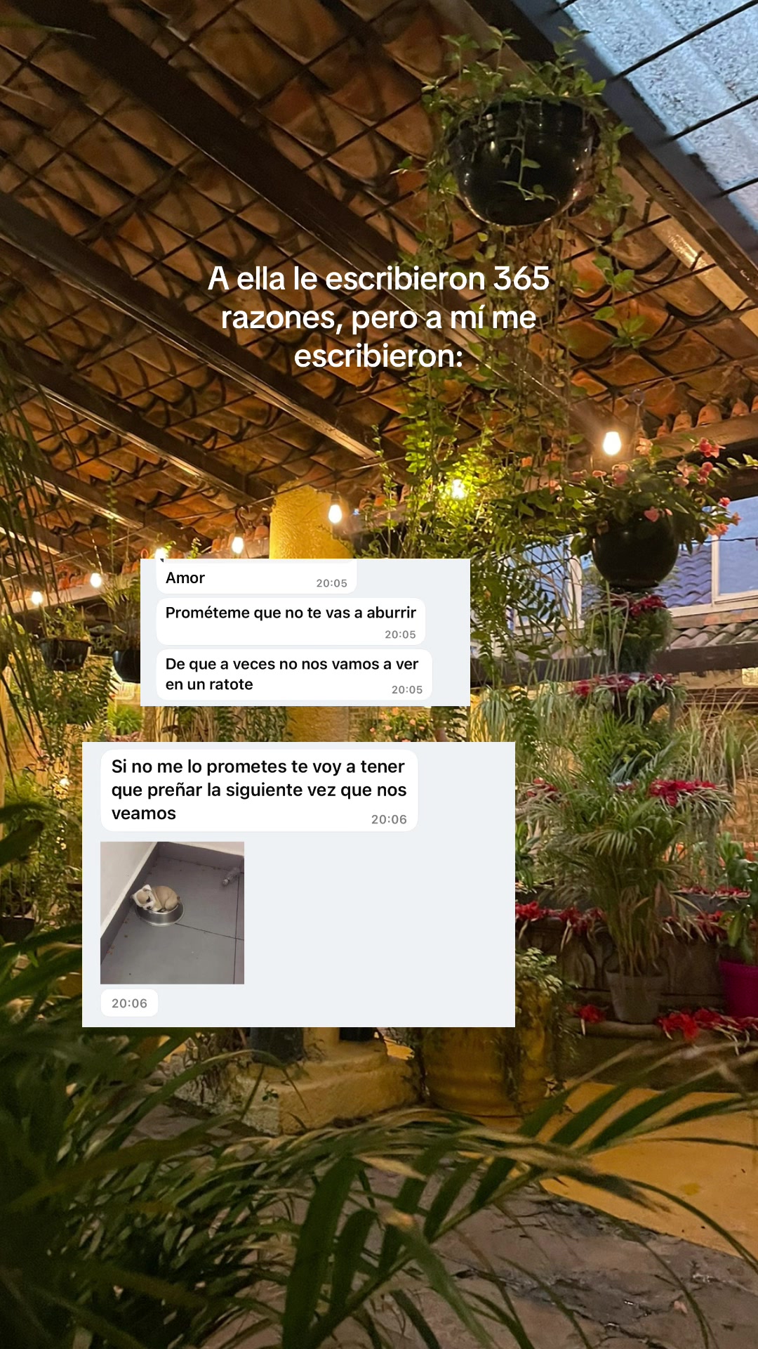 @Karime Zamora