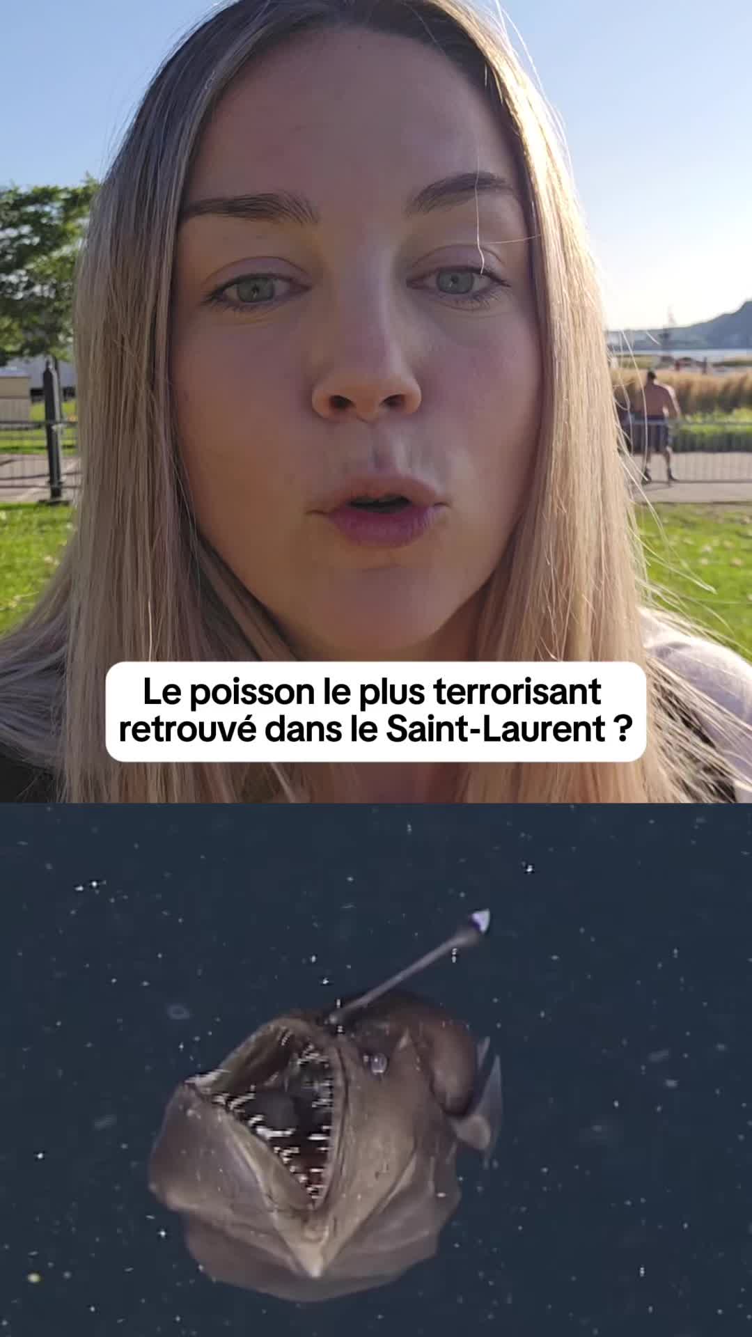 @biolovik