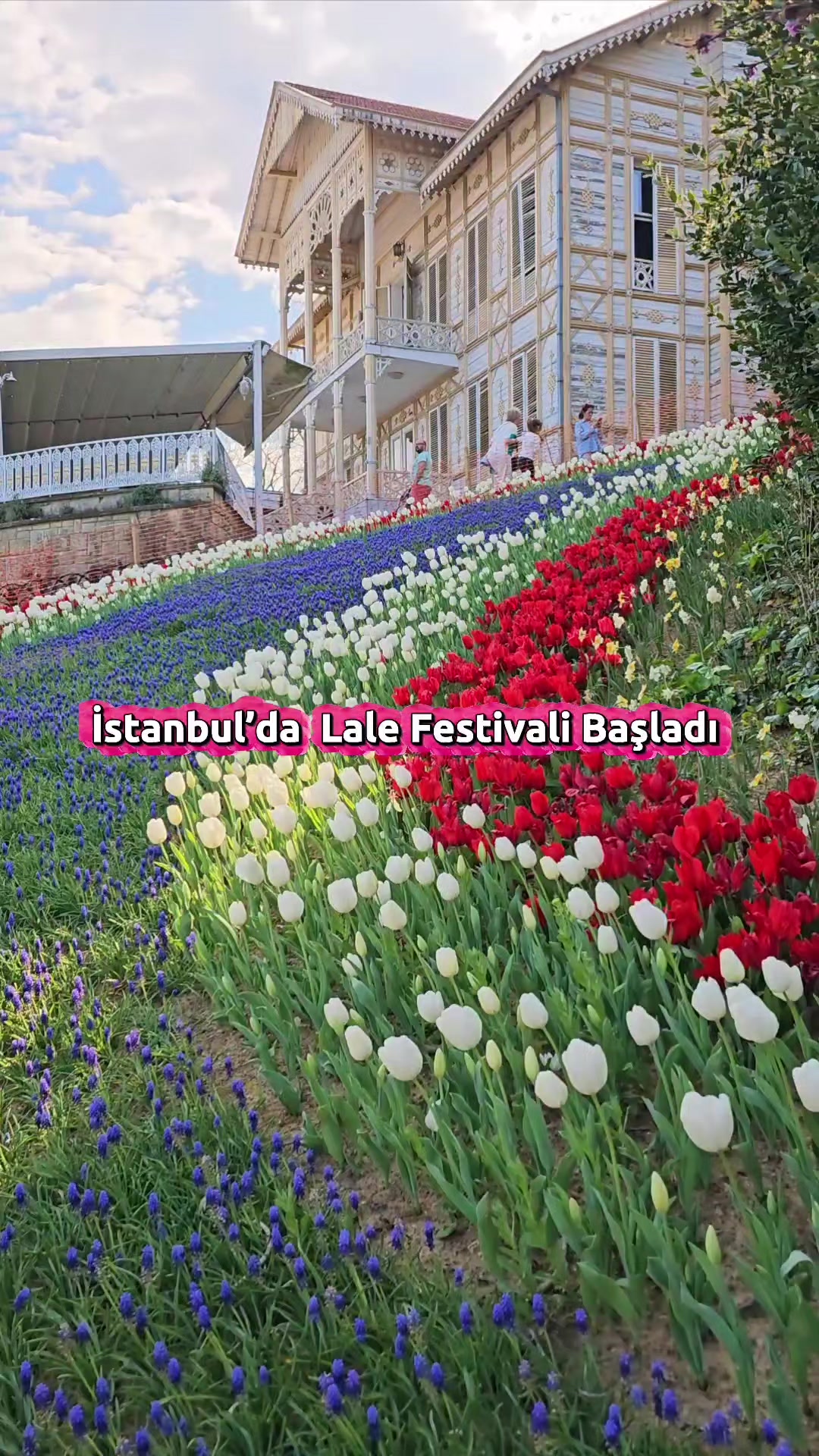 @duslerdeistanbul
