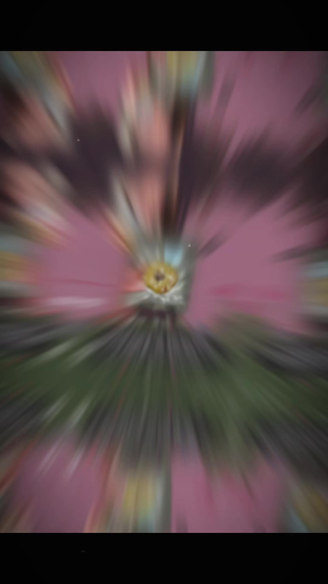 @⋆.࿔*𓆝⋆｡˚𝙋𝙞𝙚⋆｡˚ᵛᶰシ˚‧⋆.࿔