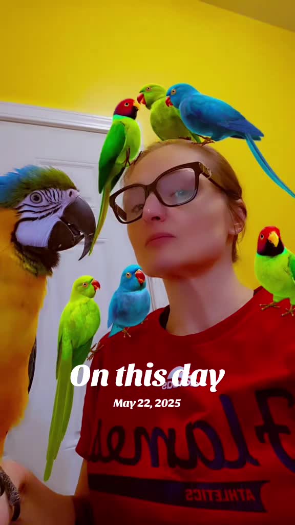 @🕴🏻Heisenbird🐦