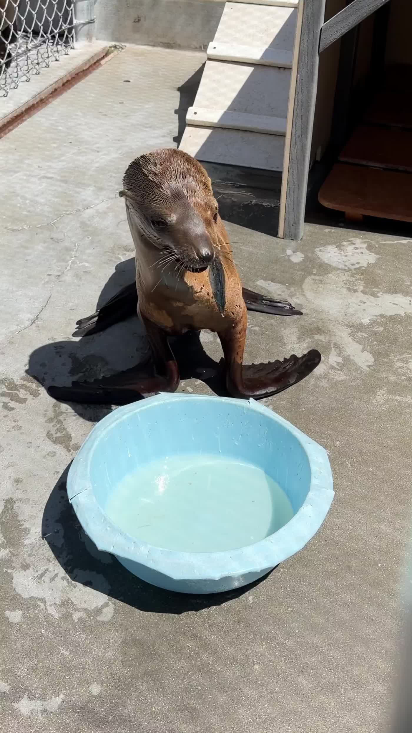 @Marine Mammal Care
