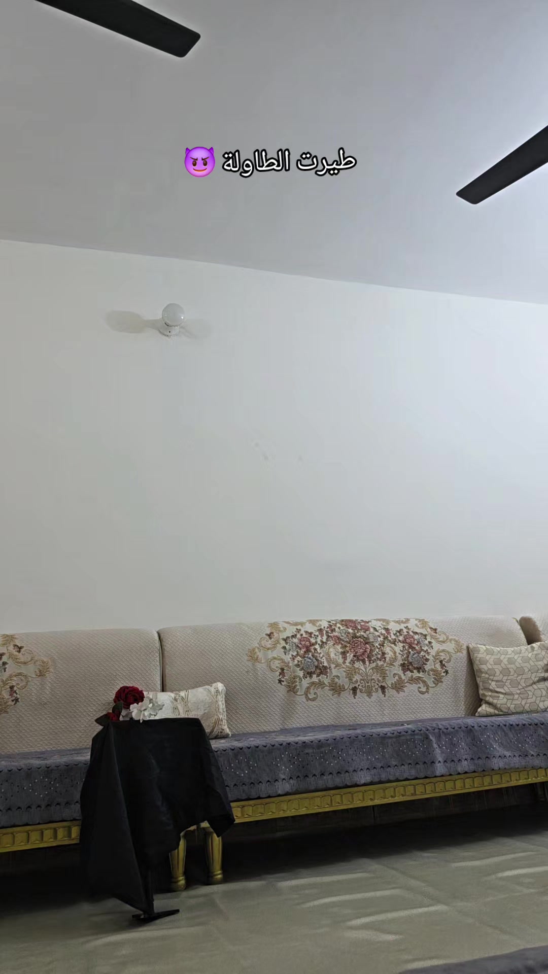 @ترينبو_Tranbo