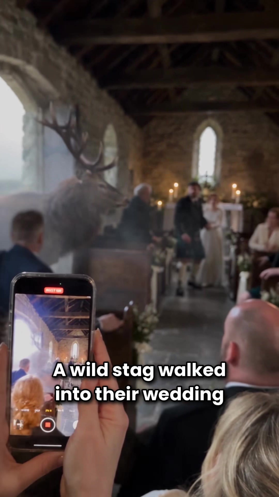 @Wild Little Stories