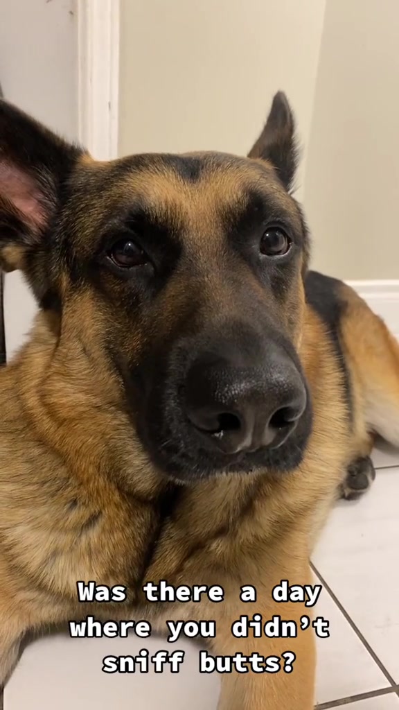 @Martygsd