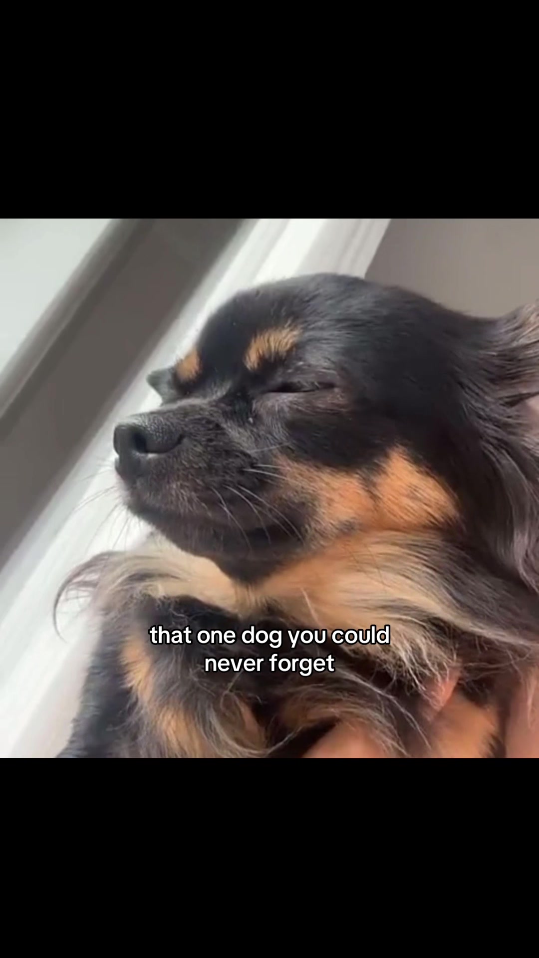 @𝐖𝐢𝐧𝐭𝐞𝐫