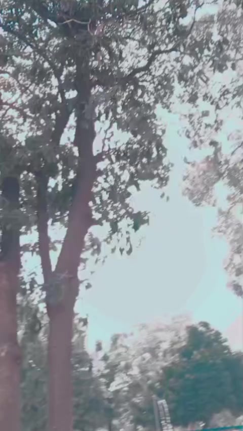 @Salman Khan 087