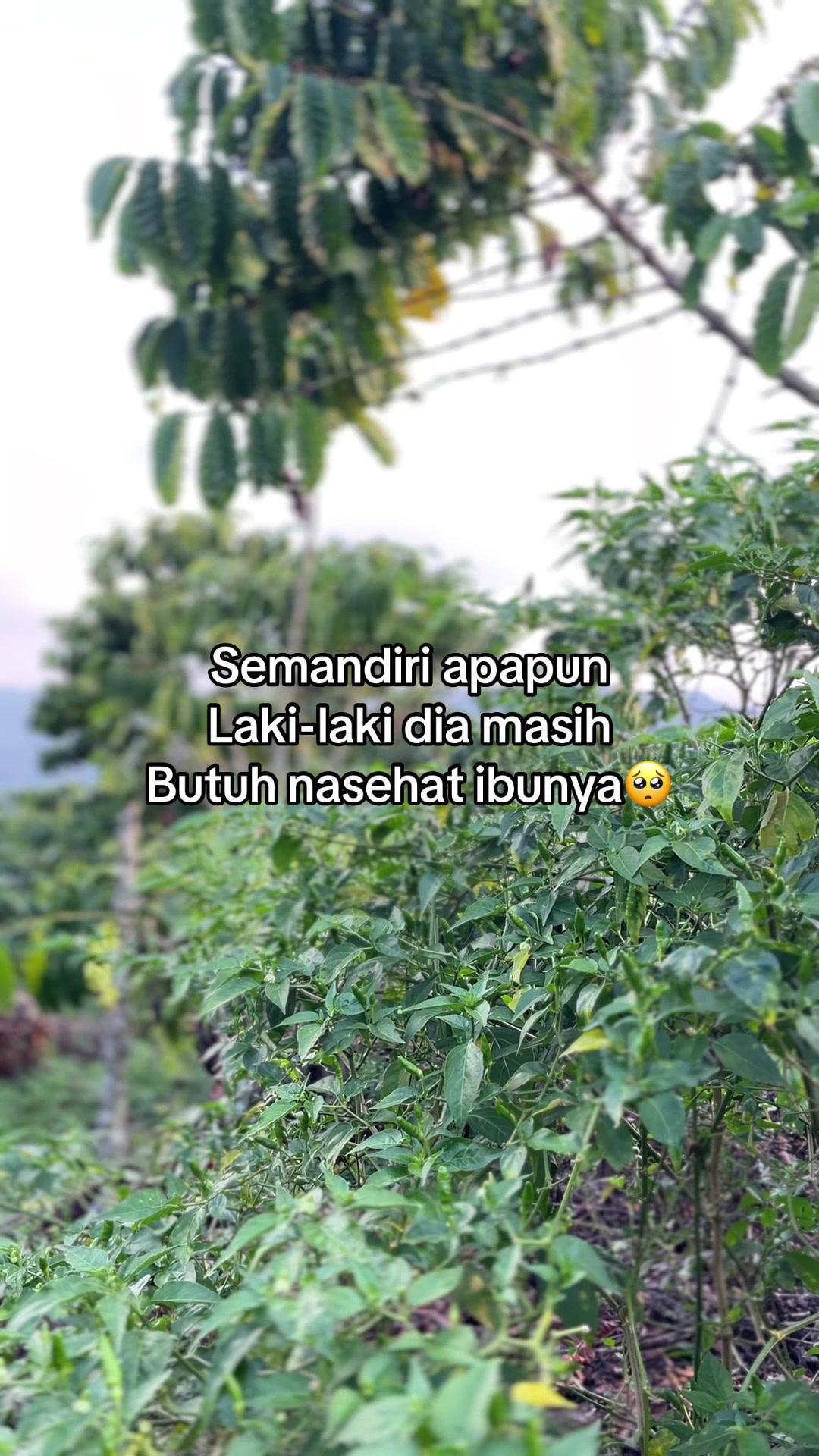 @Prof ☕️ MILENIAL