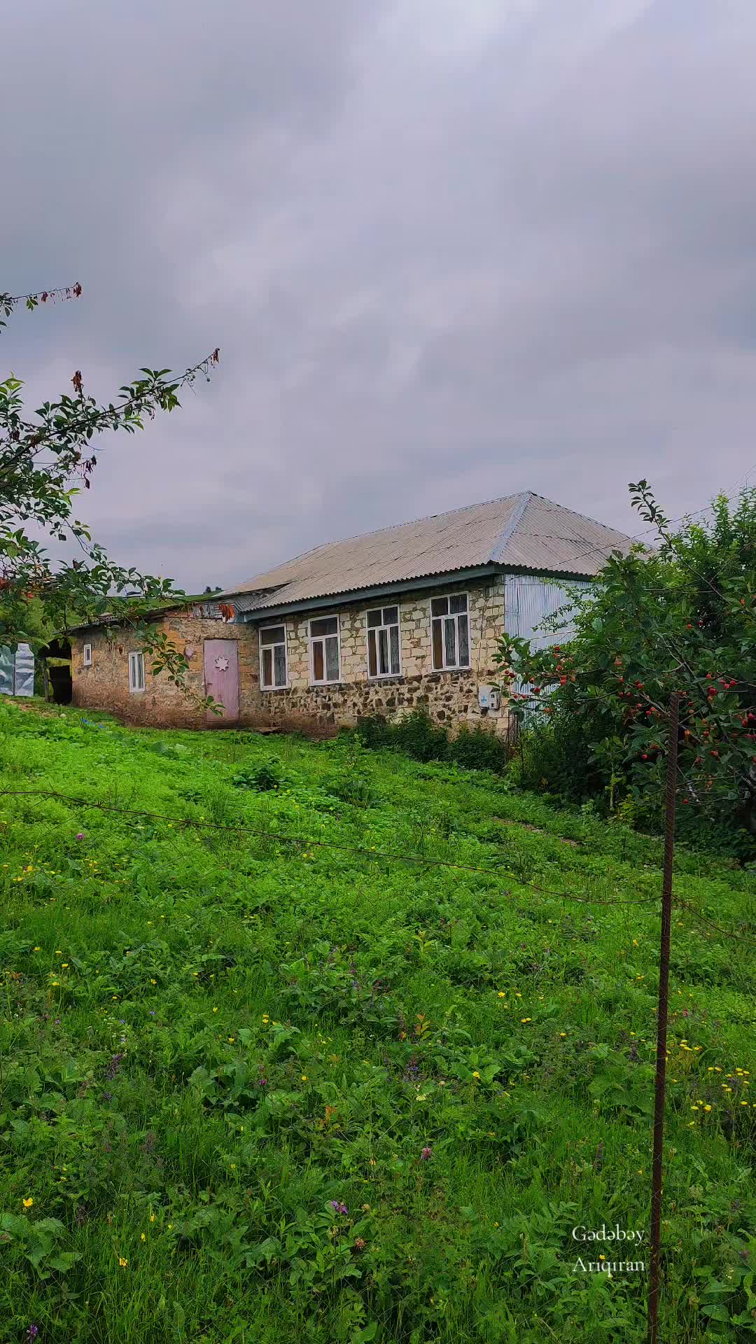 @Anar_Əliyev