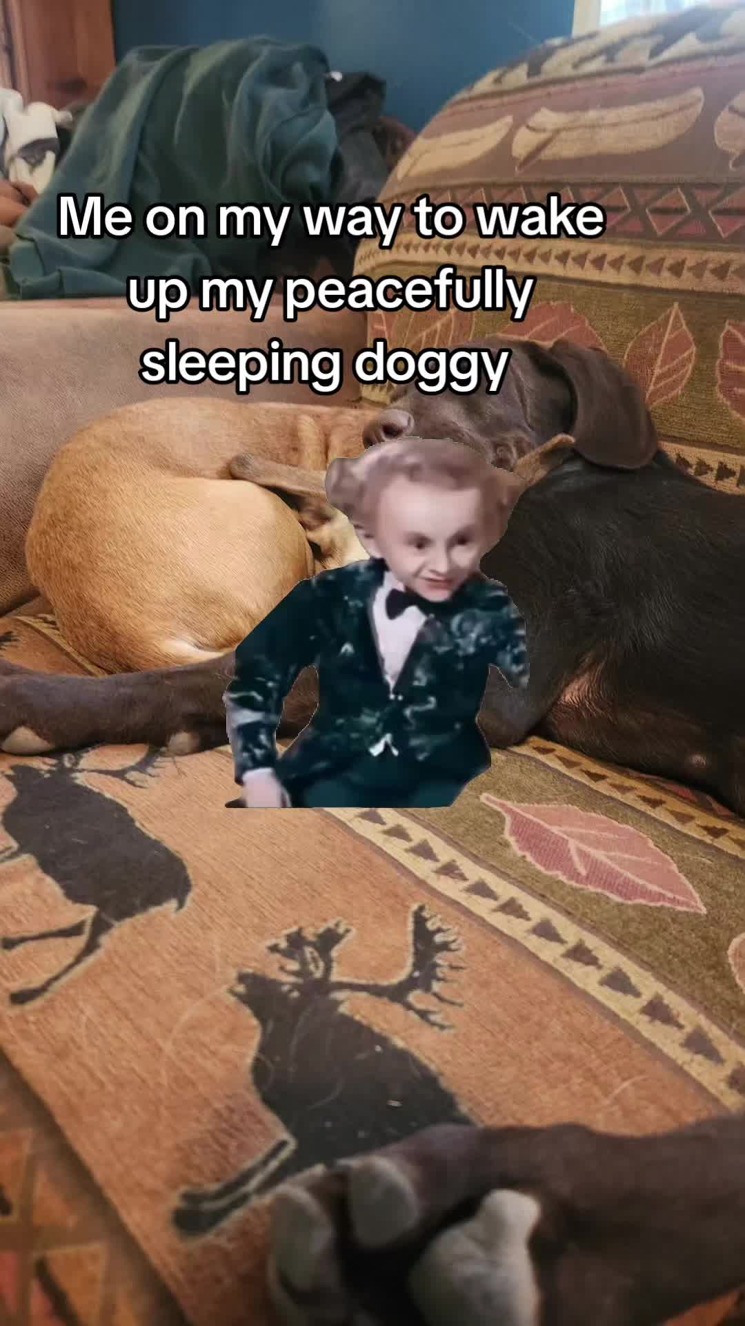 @Gabbie