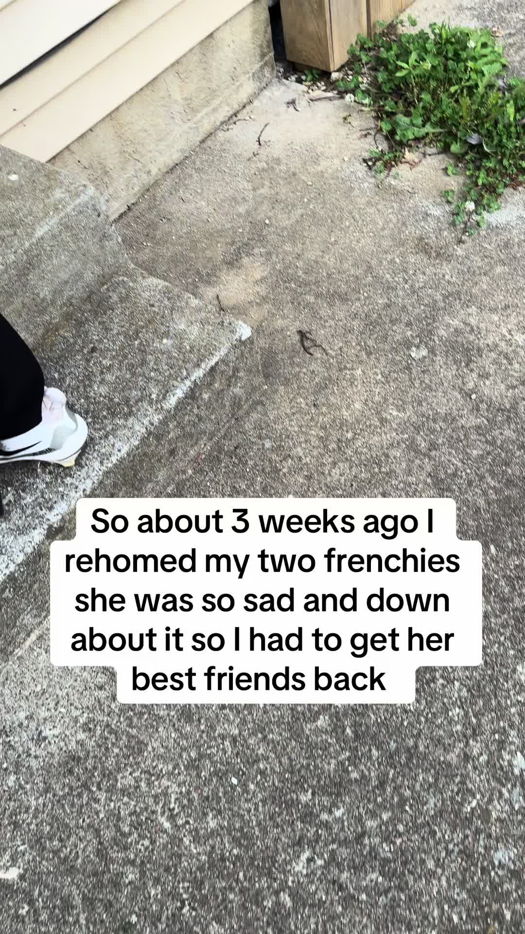 @615TIKTOKDADA2