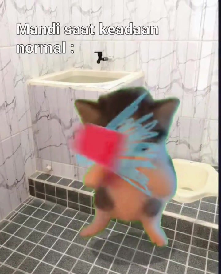 @ꨄ˚ ✦°ׁׅ𝓷𝓪𝔂𝓪•⏤͟͟͞͞★