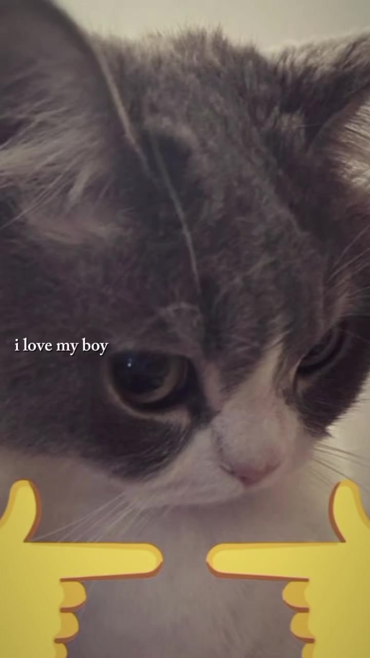 @Yuri โก๐