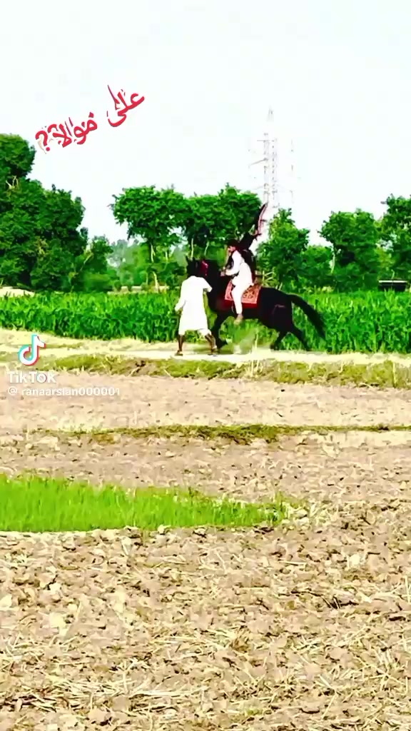 @muhammadyaqoob33721