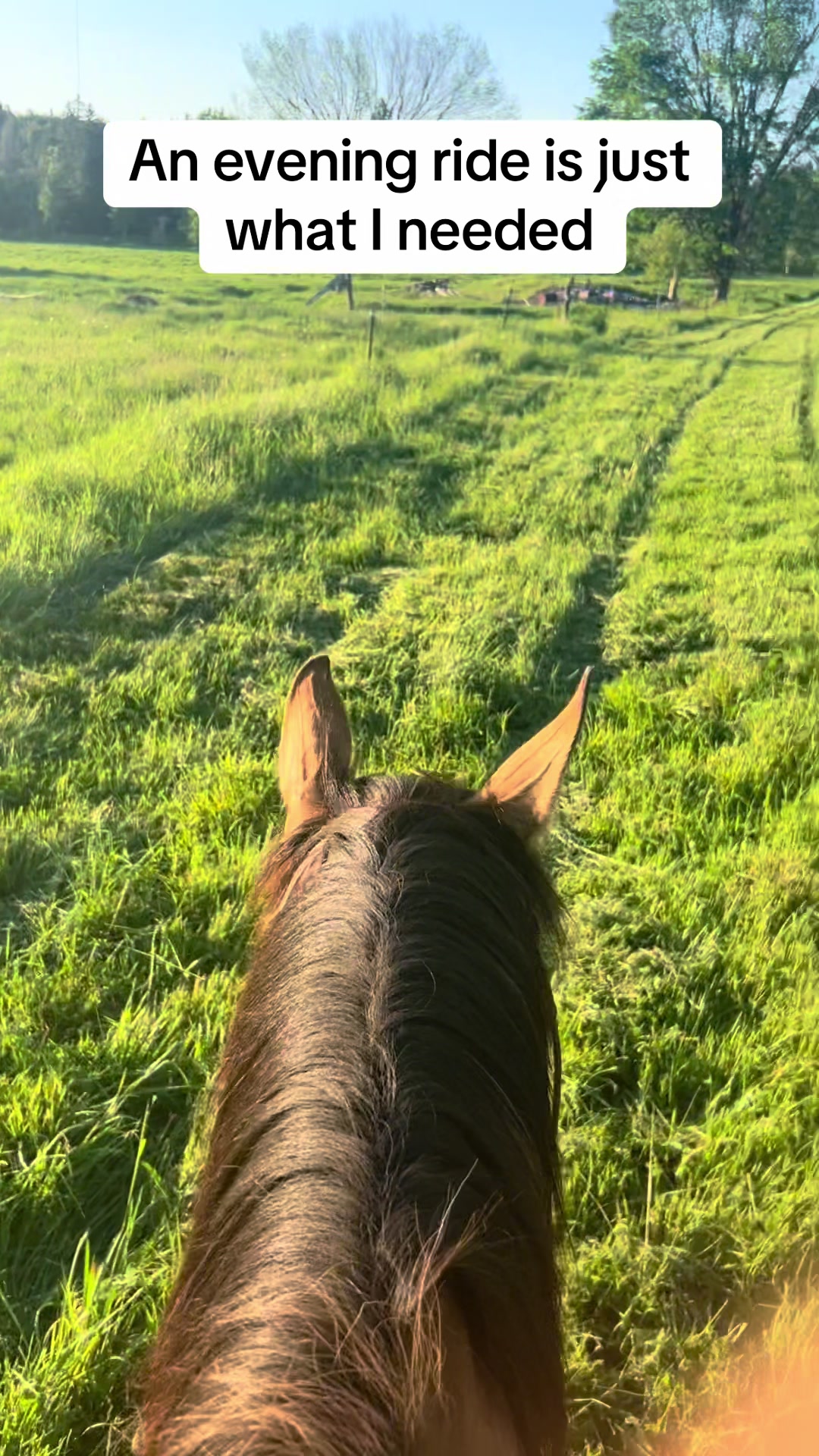 @littlesandycreekfarm