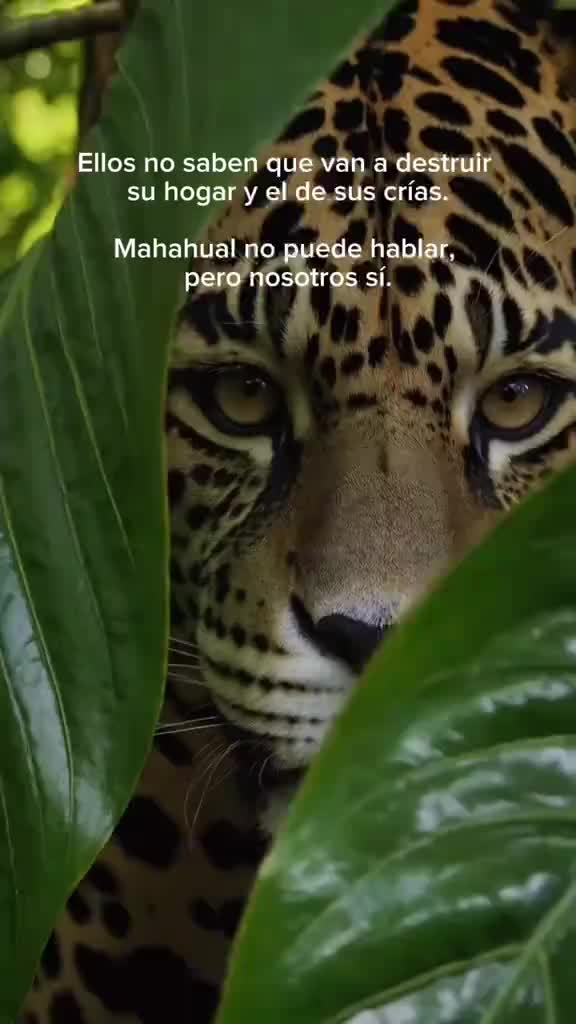 @Pamela Chávez