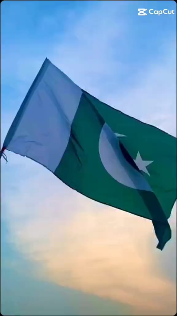 @🥀-Parvaiz ❤️Ali🕊️🥀🌹🕊️