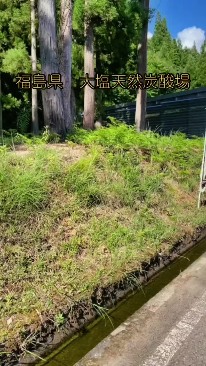 @しゃぱぞう