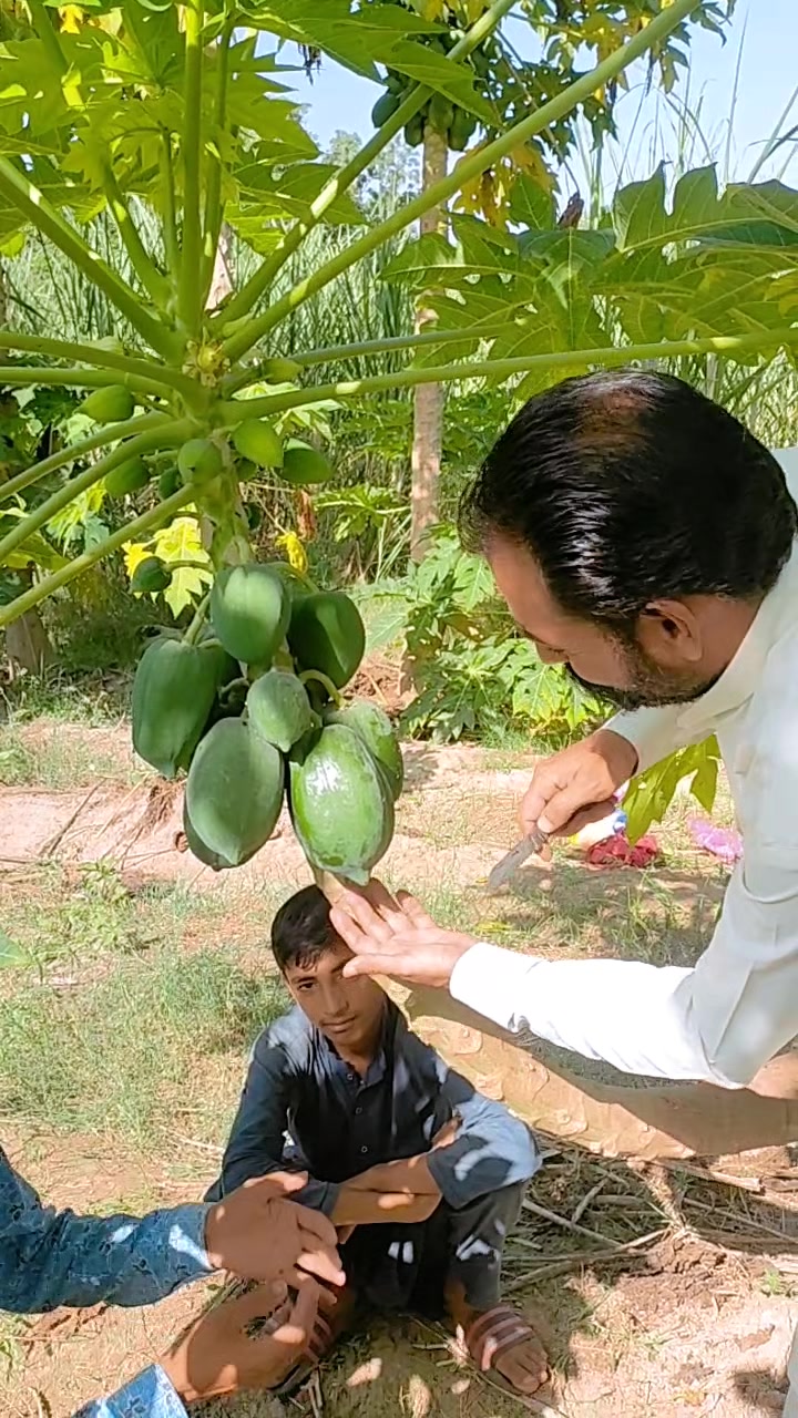 @SAMI ULLAH OFFICIAL
