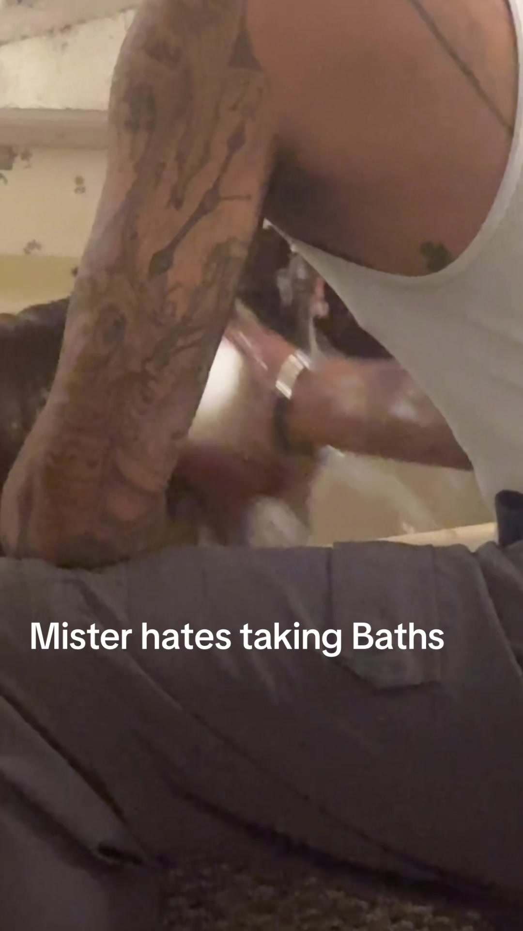 @Mister_granger