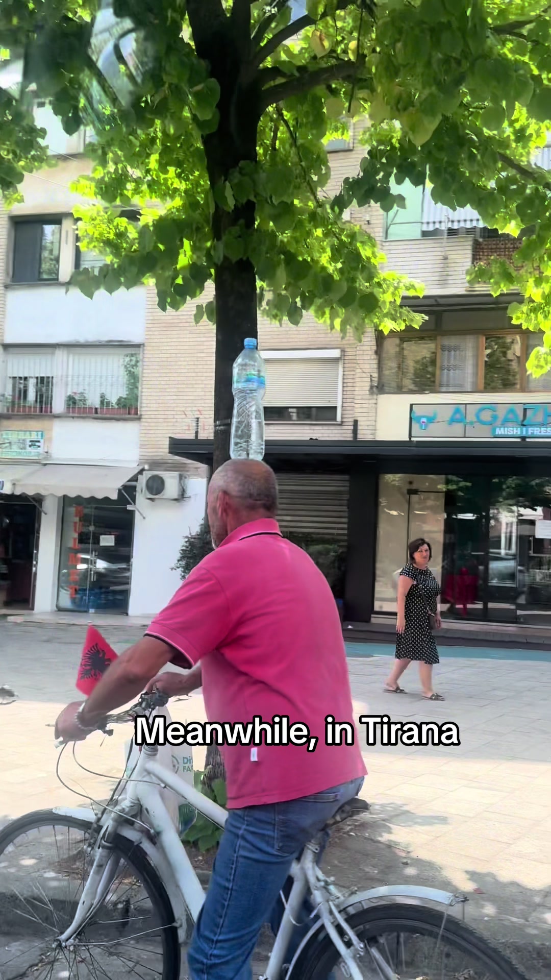 @Alice in Albania