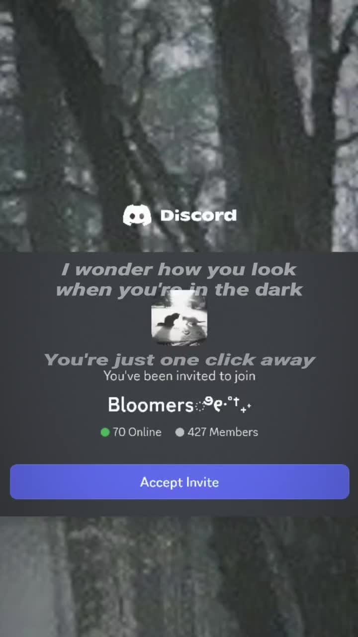 @𝐵𝑙𝑜𝑜𝑚𝑒𝑟𝑠 ྀི&bull; ༝ &bull;