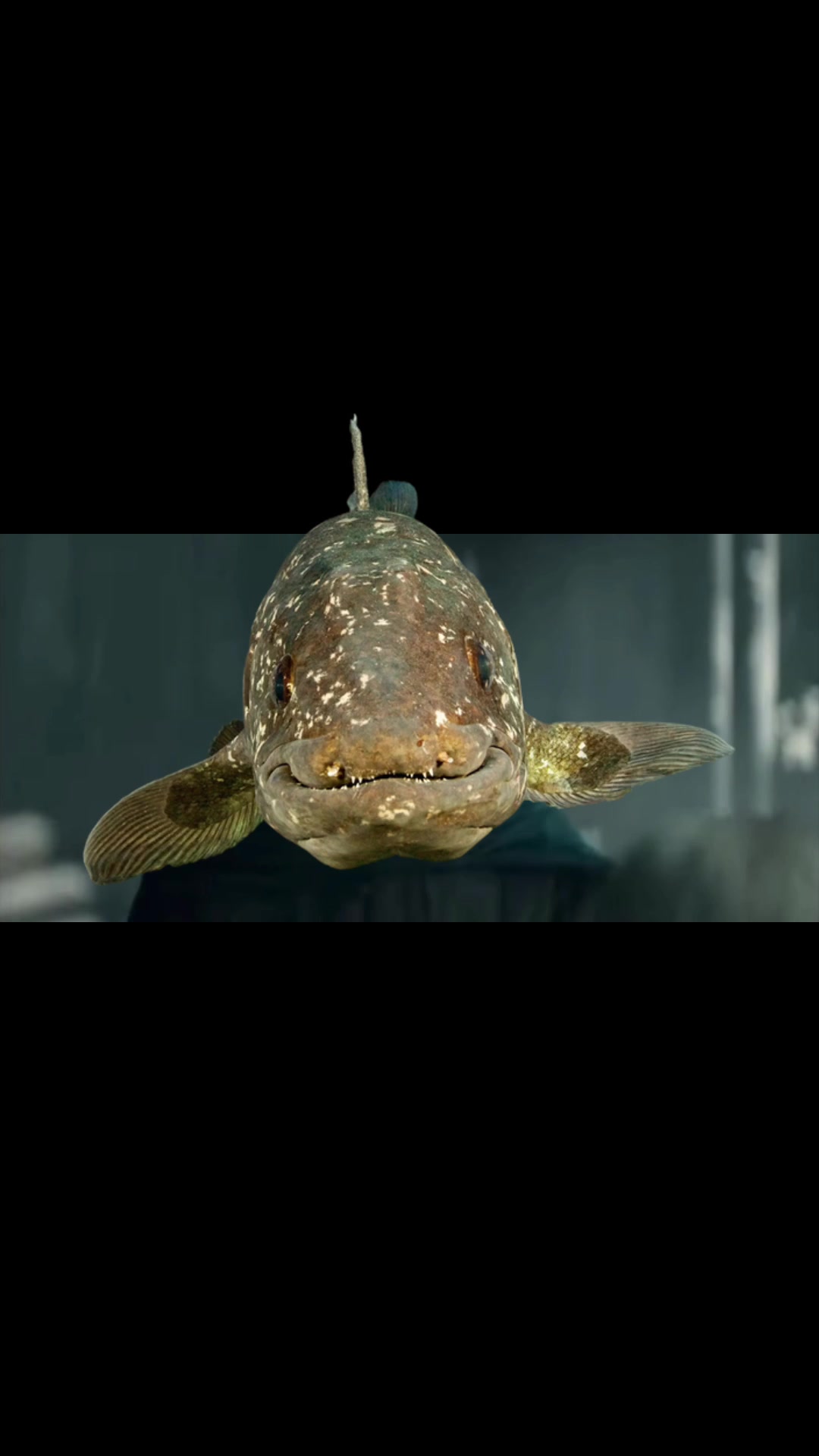 @Sarcastic_therapsid