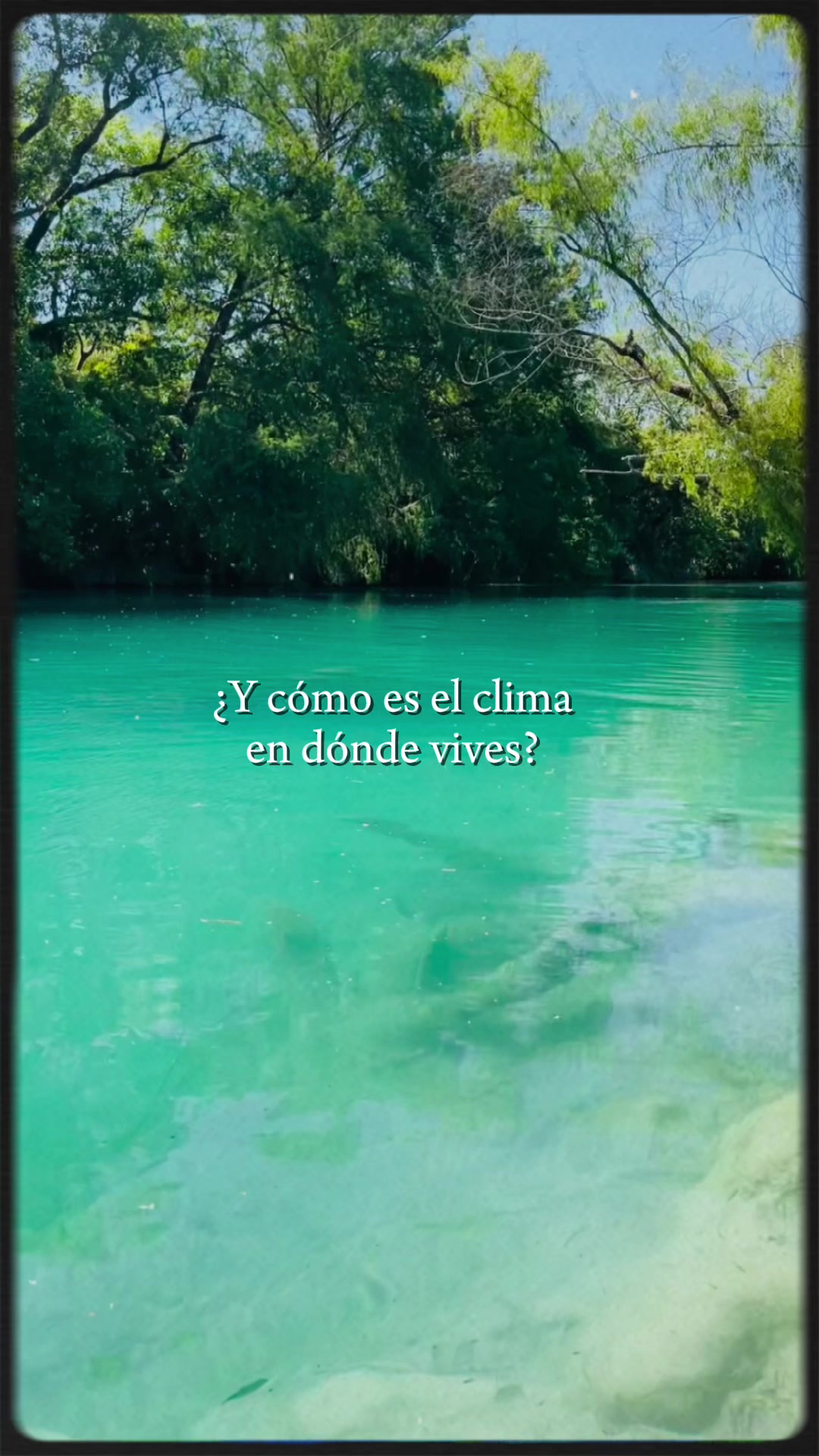 @Sandy Lara 