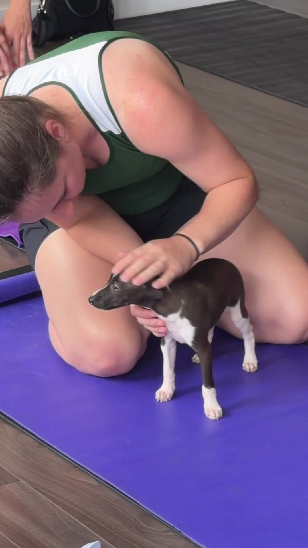 @Muskoka Puppy Yoga