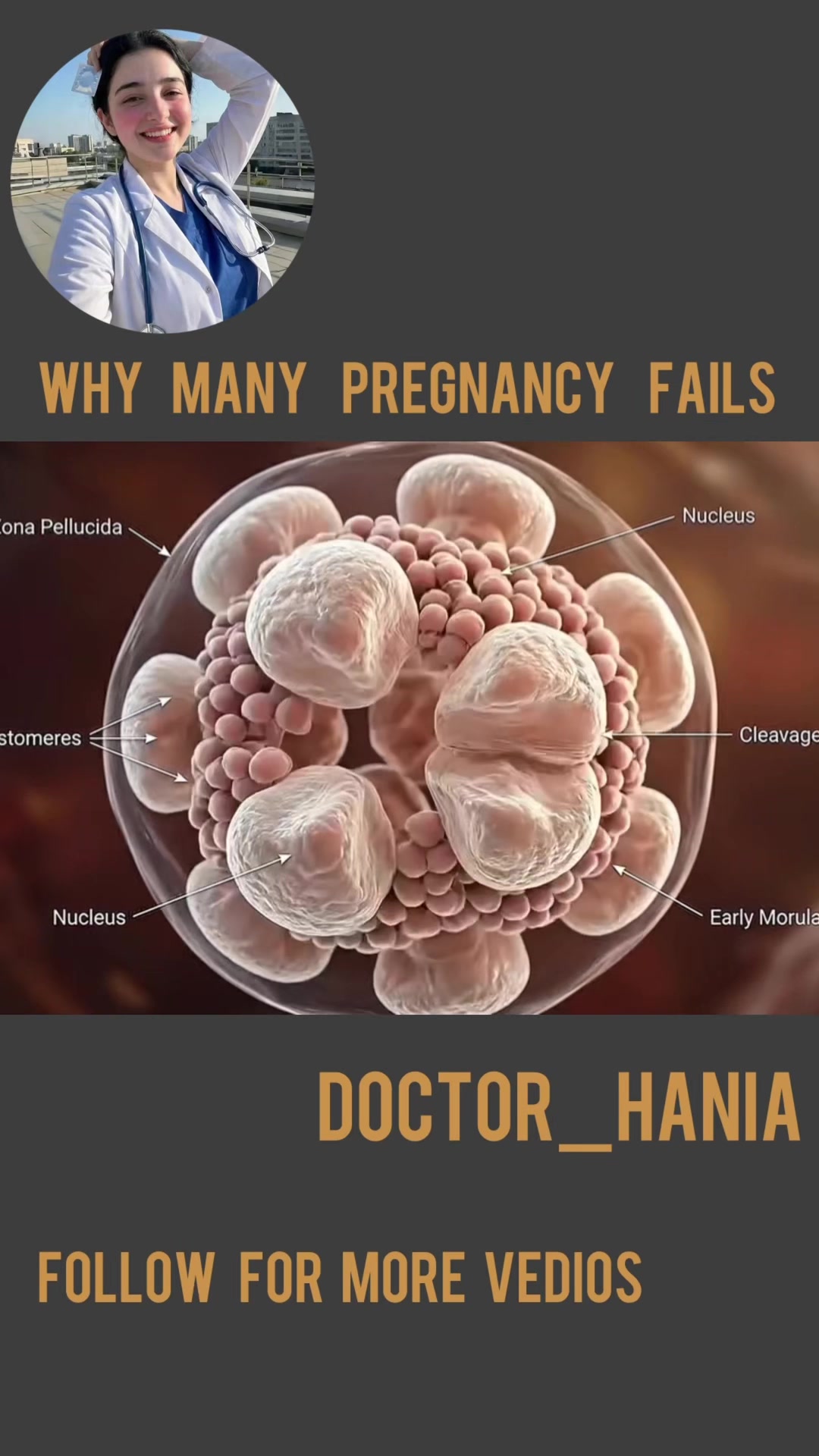 @Doctor Hania