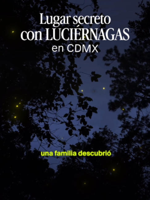 @CDMX Secreta