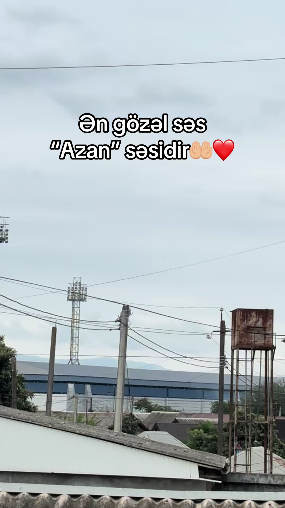 @by___1996